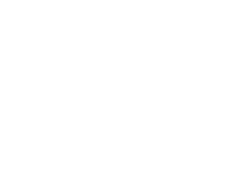 logo-lizzante-oficial.webp